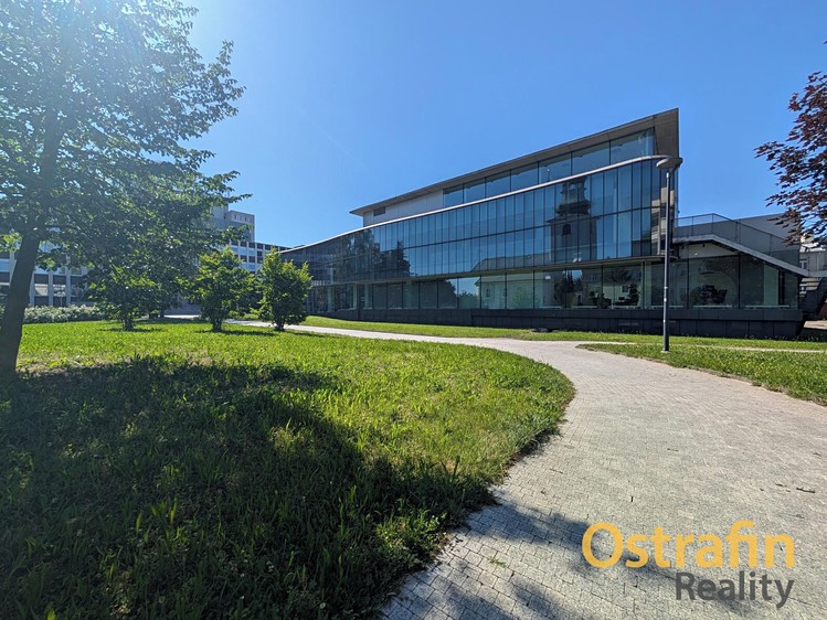 Комерційне приміщення в оренду, 238 м² (21 з 21)