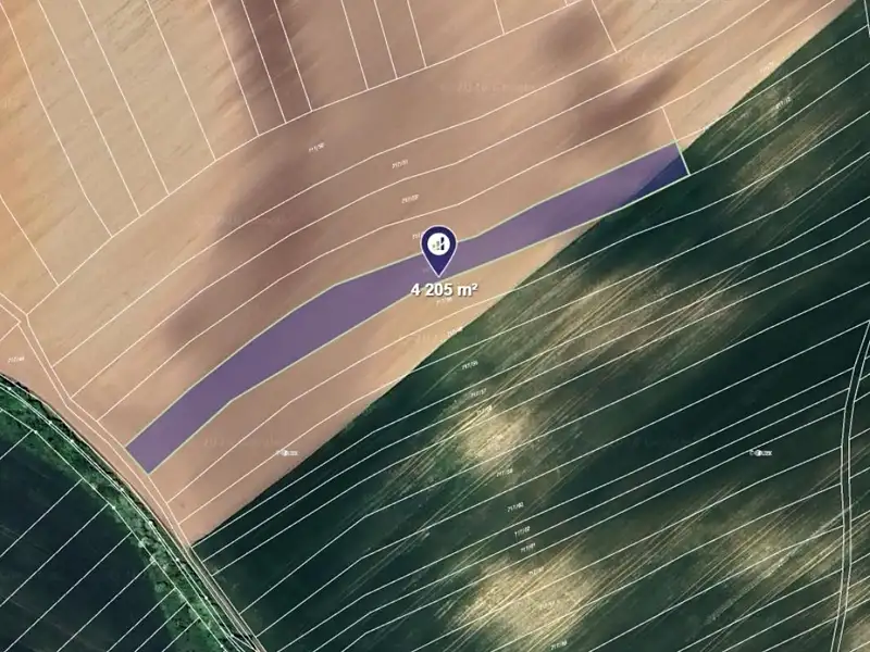 Prodej pole 4205 m², Čejkovice – náhled fotky 1