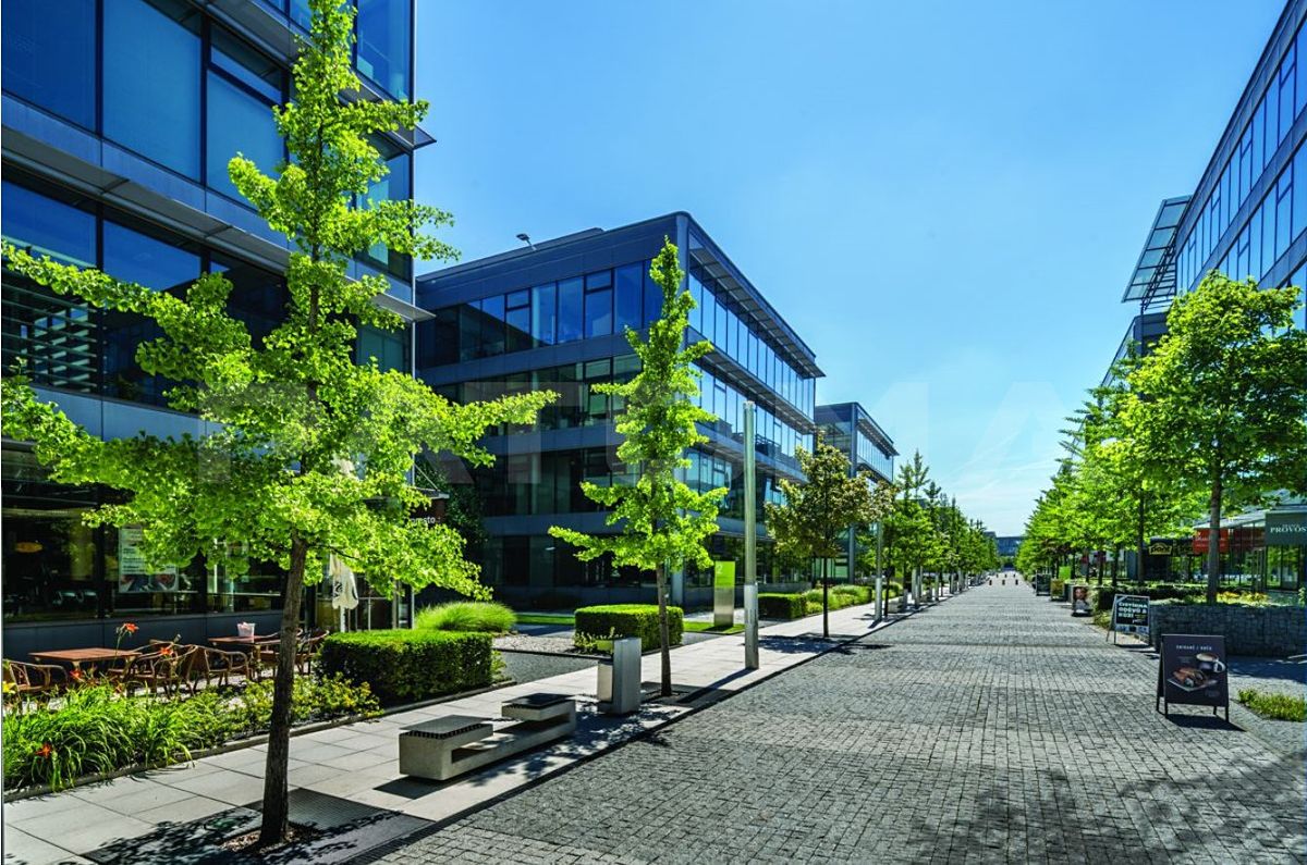 Pronájem kanceláře 1470 m²