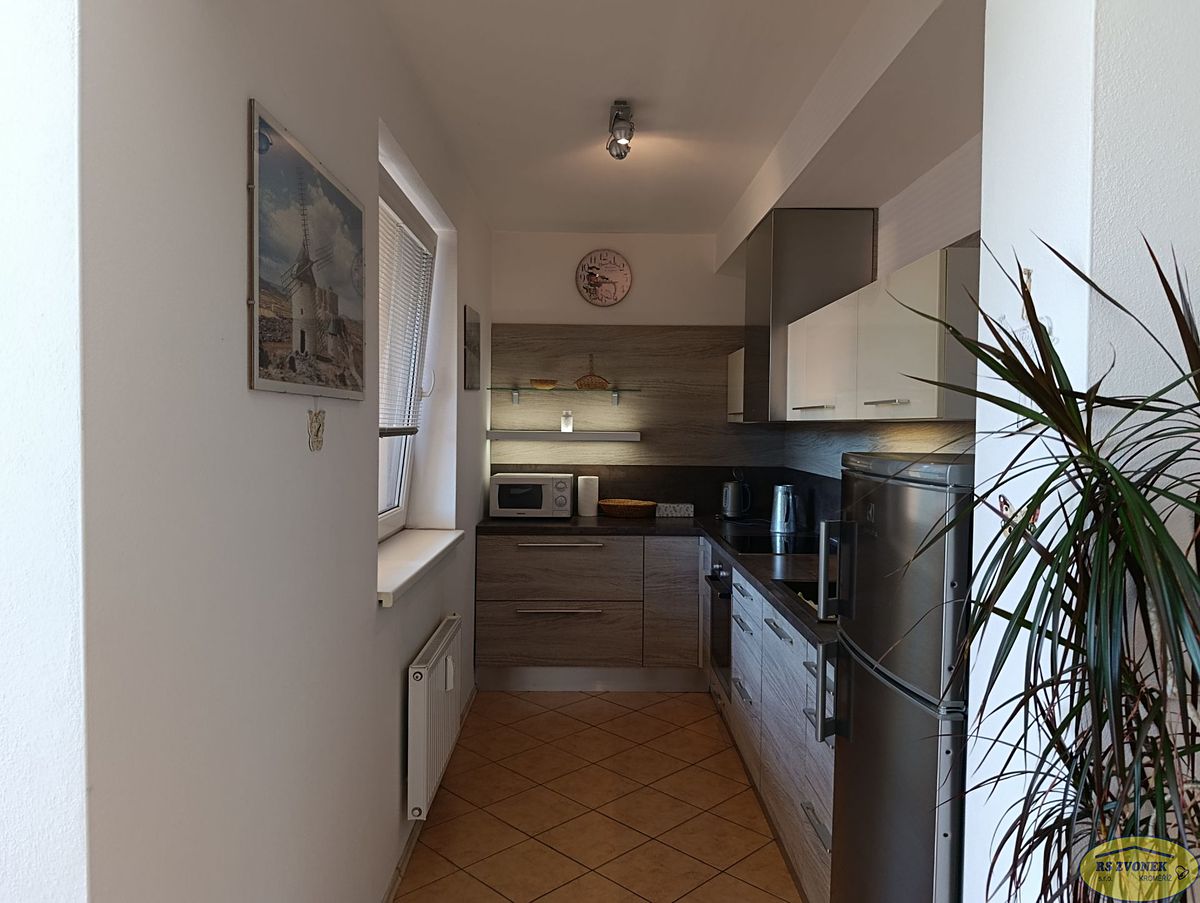 Pronájem bytu 1+kk 45 m²