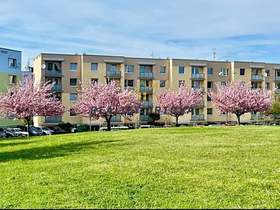 Pronájem bytu 1+1 39 m²