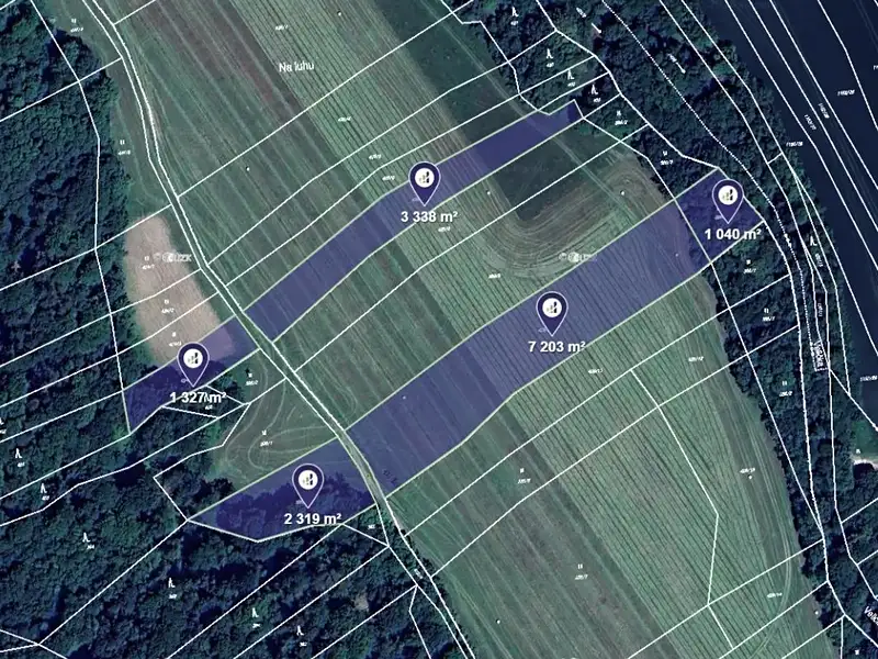 Prodej pole 77991 m², Hranice – náhled fotky 1