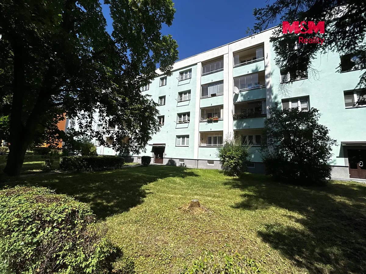 Fotka 10 z 11