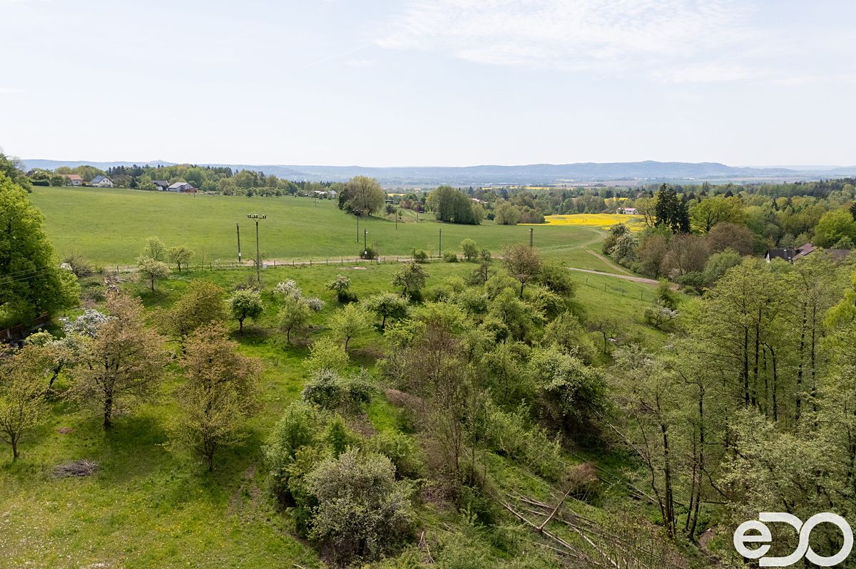 Prodej stavebního pozemku 2393 m² – fotografie 4