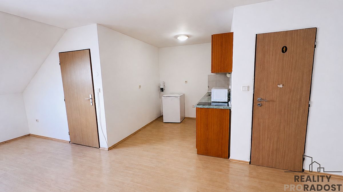 Pronájem bytu 1+kk 50 m²
