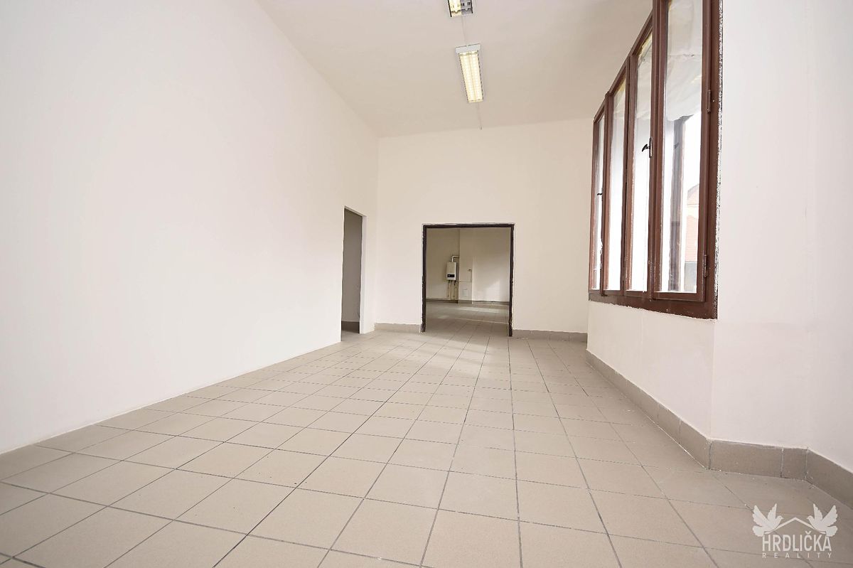 Prodej obchodního prostoru 173 m² – fotografie 5