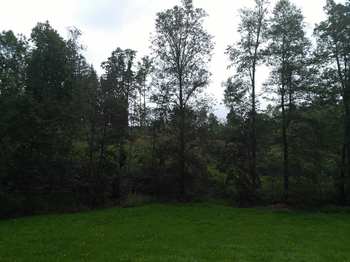 Prodej zahrady 4076 m²