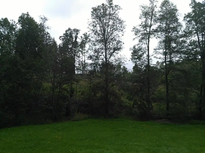 Prodej zahrady 4076 m², Košťálov – náhled fotky 1