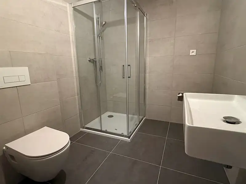 Pronájem bytu 1+kk 36 m², Plzeň – náhled fotky 3