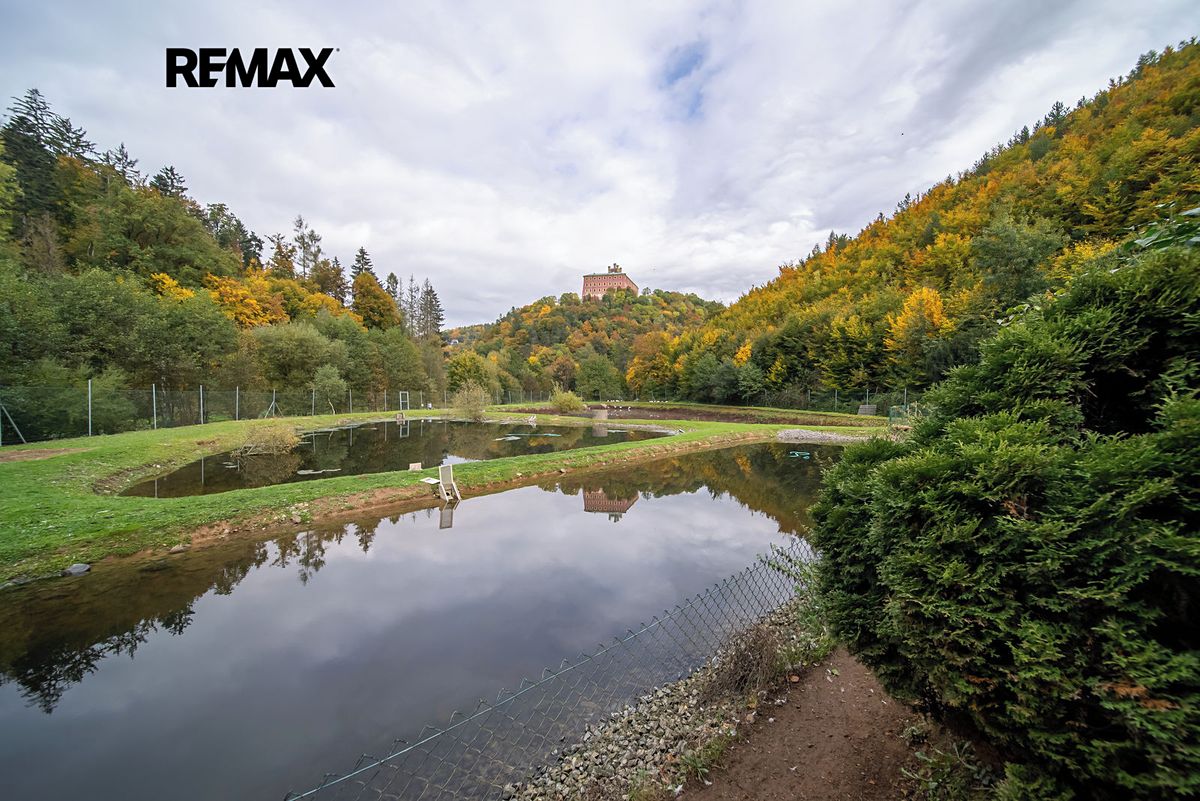 Prodej zemědělské usedlosti 467 m², pozemek 467 m² – fotografie 4