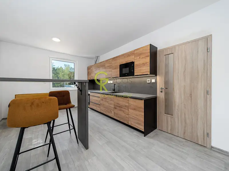 Prodej bytu 3+kk 56 m², Skorkov – náhled fotky 1