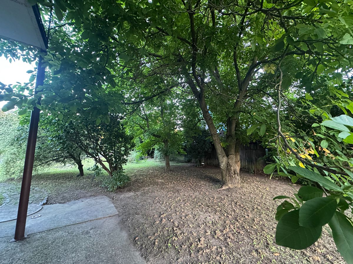Prodej rodinného domu 208 m², pozemek 1587 m² – fotografie 3