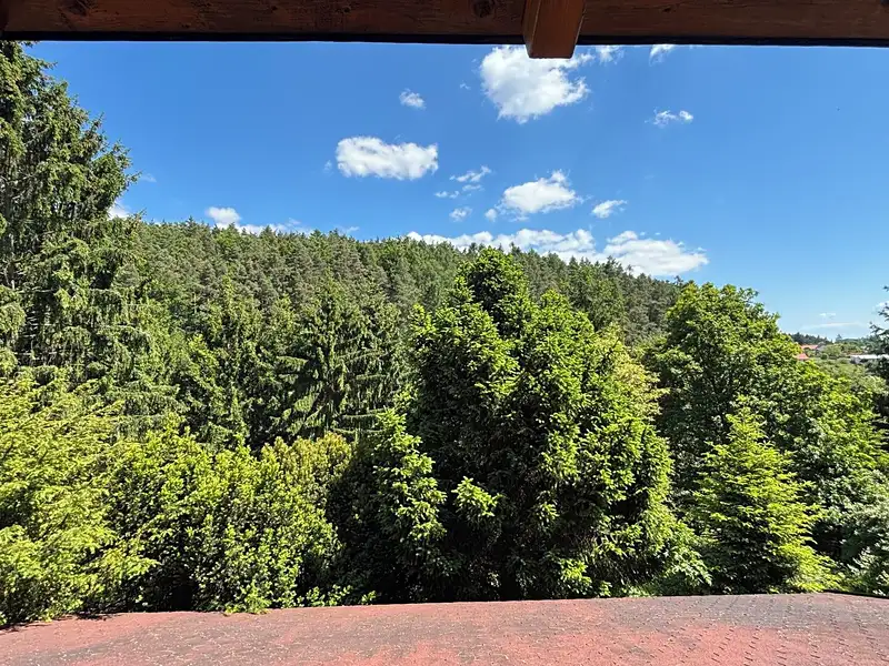 Prodej chaty 68 m², pozemek 420 m², Olšany – náhled fotky 3