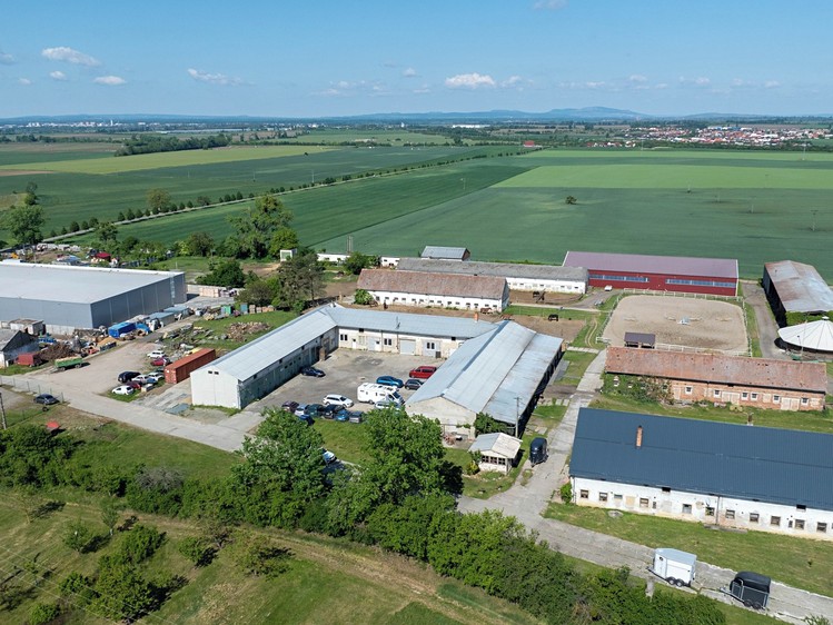 Комерційне приміщення в оренду, 264 м² (13 з 20)