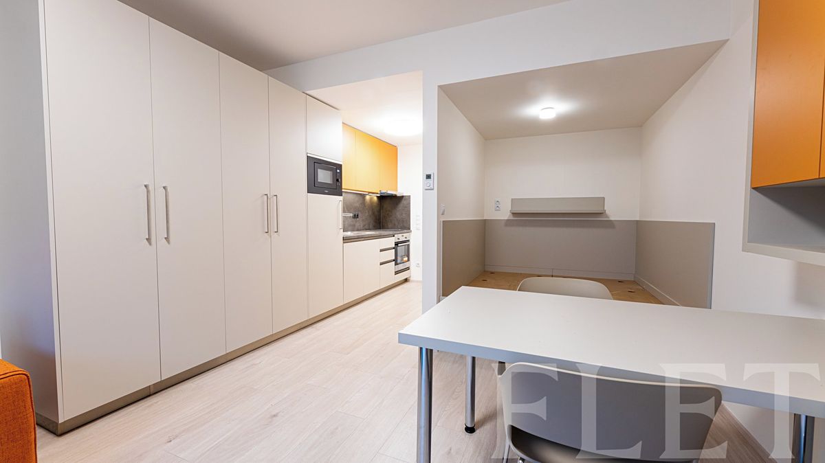 Pronájem bytu 1+kk 34 m²