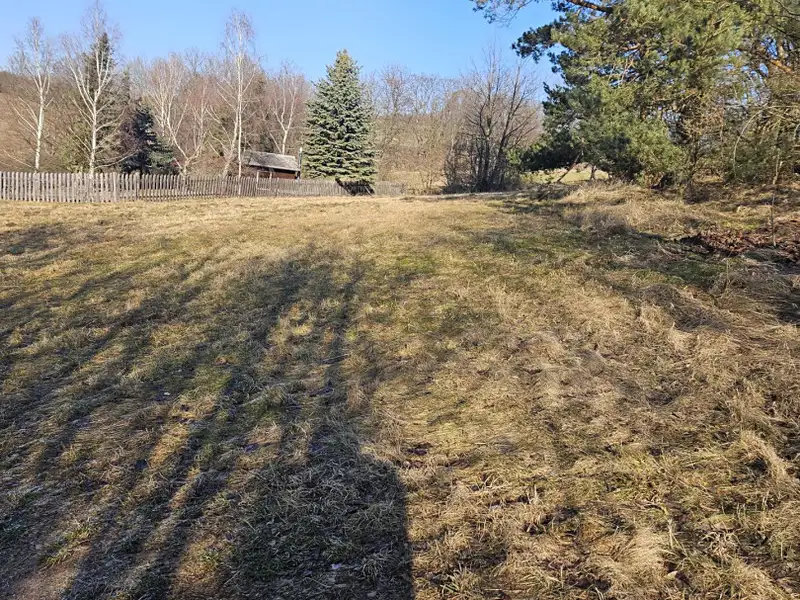 Prodej louky 668 m², Lipová – náhled fotky 3