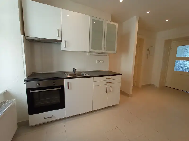 Prodej bytu 1+1 43 m², Brno – náhled fotky 3