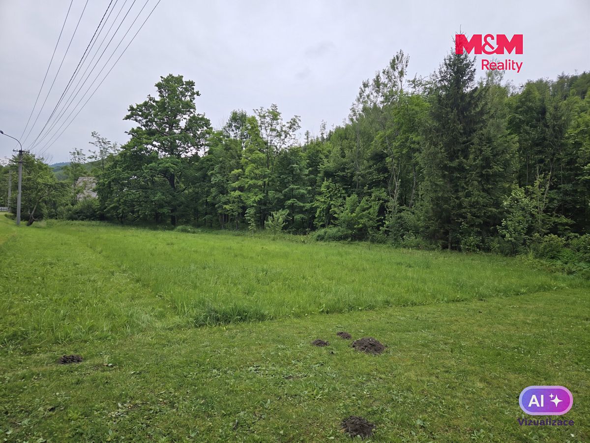 Prodej louky 2079 m² – fotografie 3