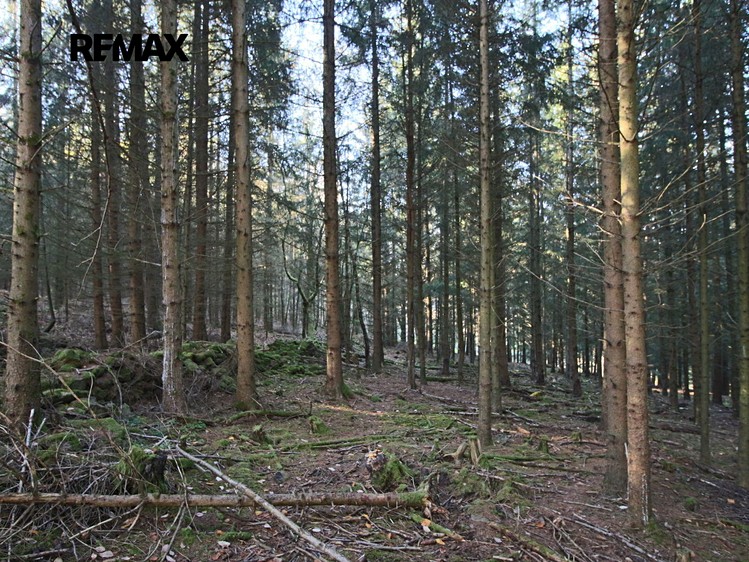 Grundstück zum Kauf, 33.347 m² (10 von 10)
