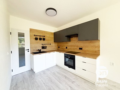 Pronájem bytu 1+1 43 m²