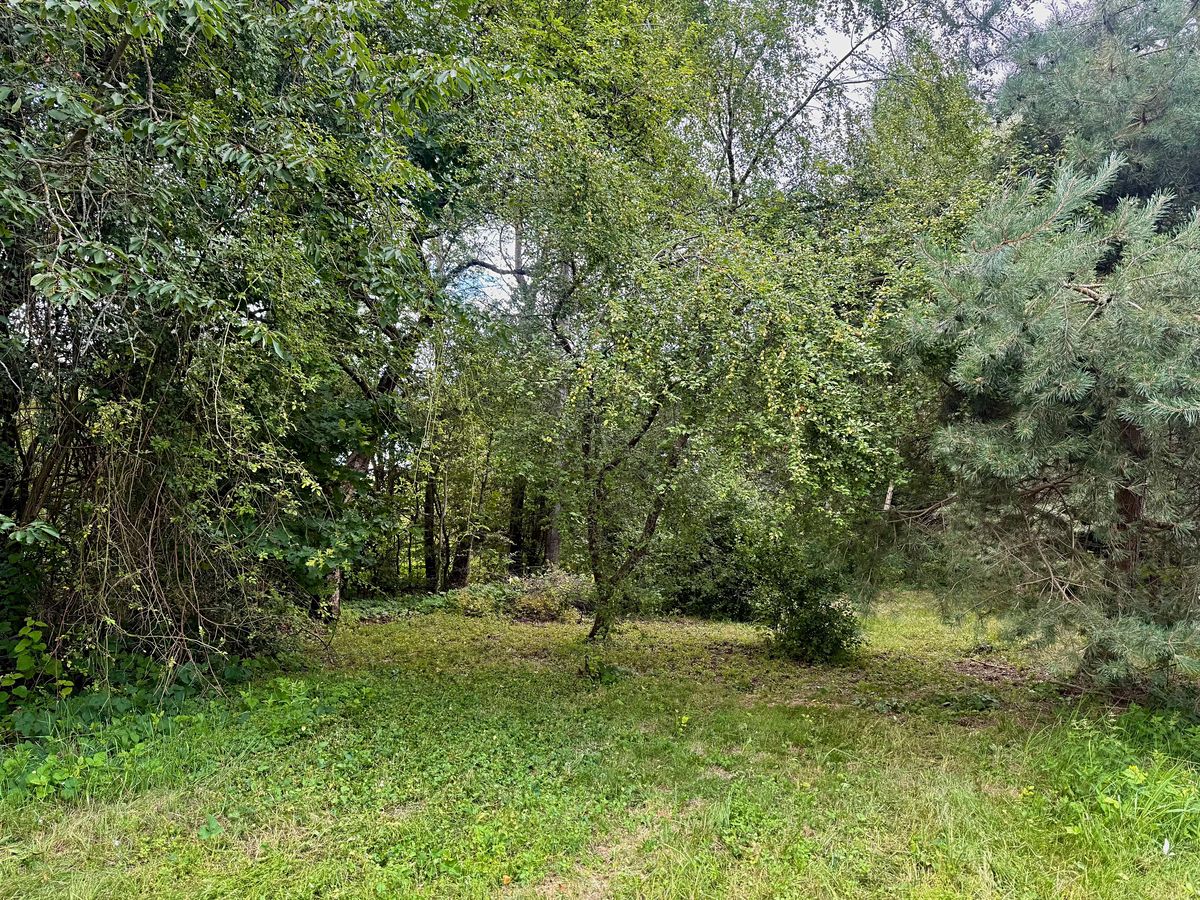 Prodej stavebního pozemku 1268 m² – fotografie 5