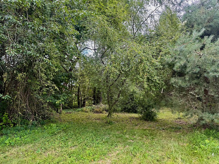Ділянка на продаж, 1 268 м² (5 з 8)