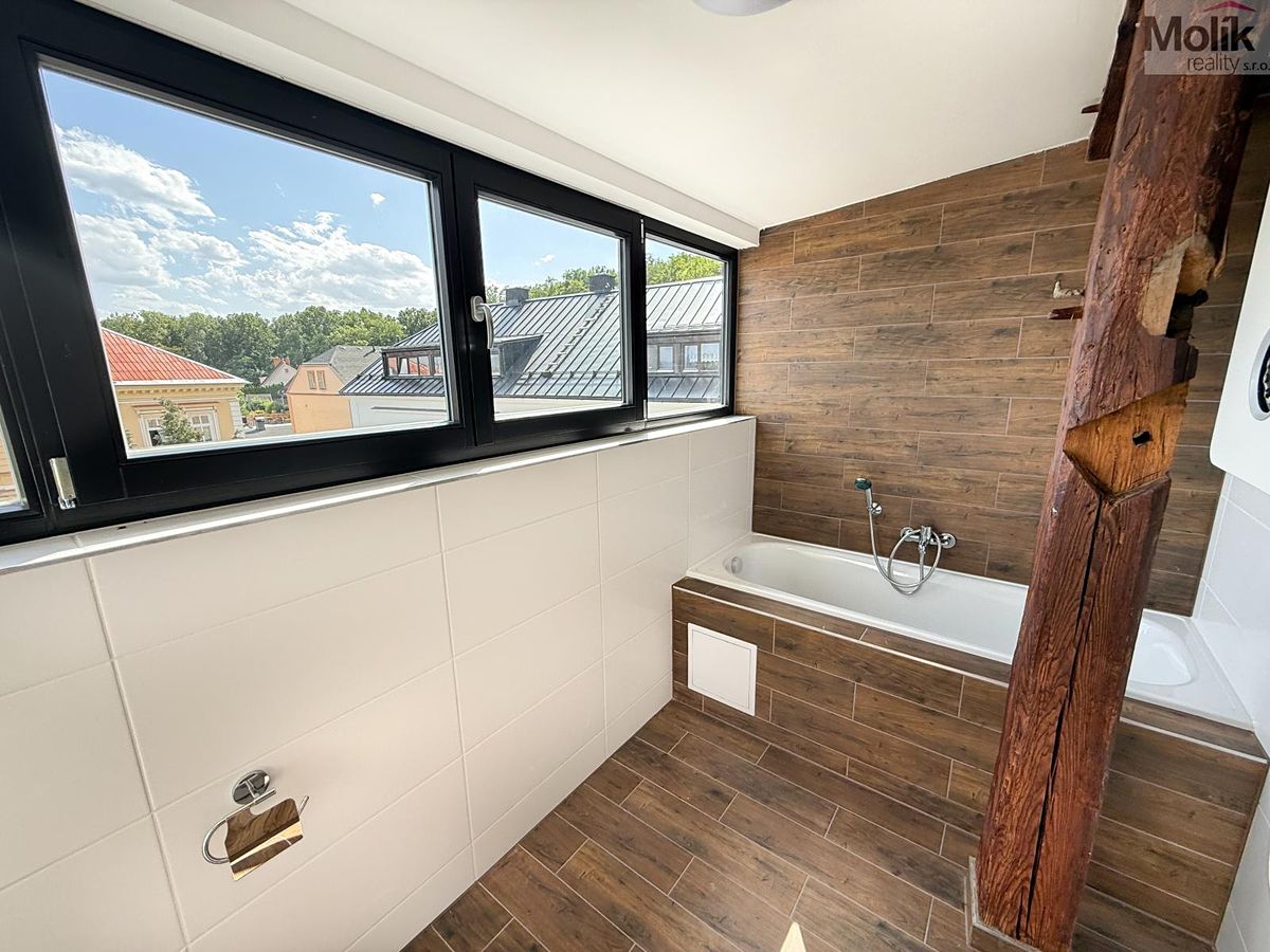 Pronájem bytu 3+kk 54 m² – fotografie 4