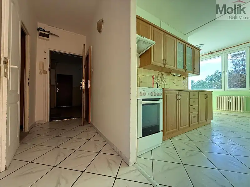 Pronájem bytu 2+1 62 m², Bílina – náhled fotky 1