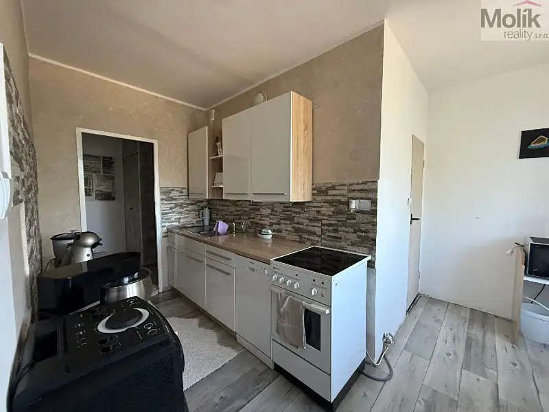 Pronájem bytu 2+1 65 m², Bílina – náhled fotky 1