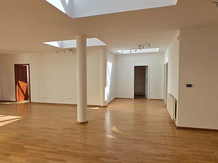 Pronájem komerčního prostoru, 107 m² (12 z 23)