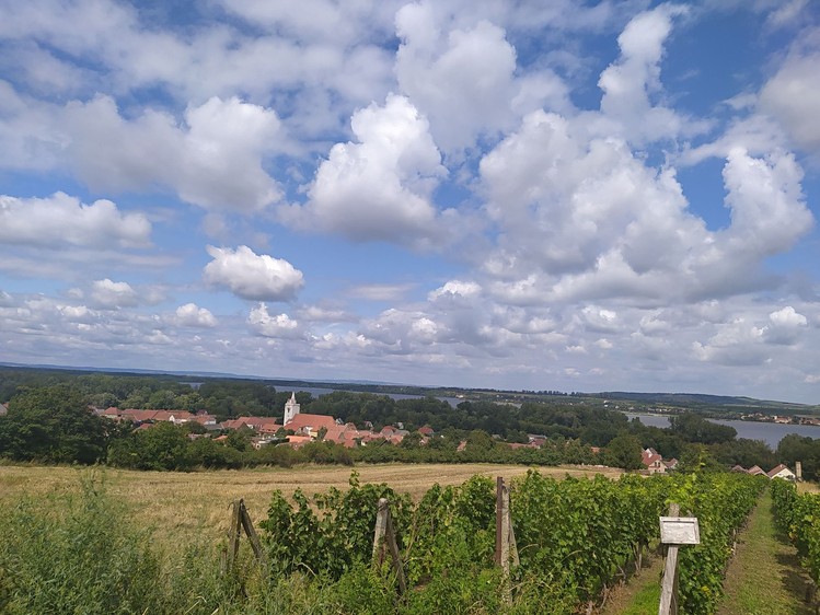 Ділянка на продаж, 834 м² (1 з 21)