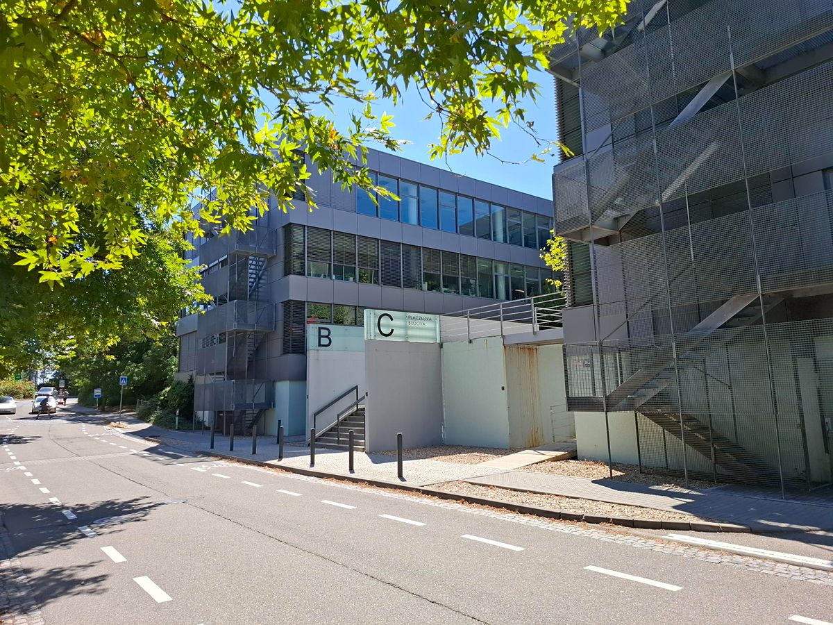 Pronájem kanceláře 572 m² – fotografie 3