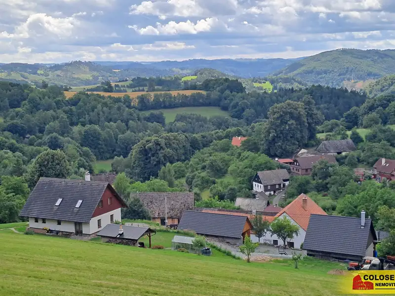 Prodej lesa 20371 m², Dalečín – náhled fotky 2