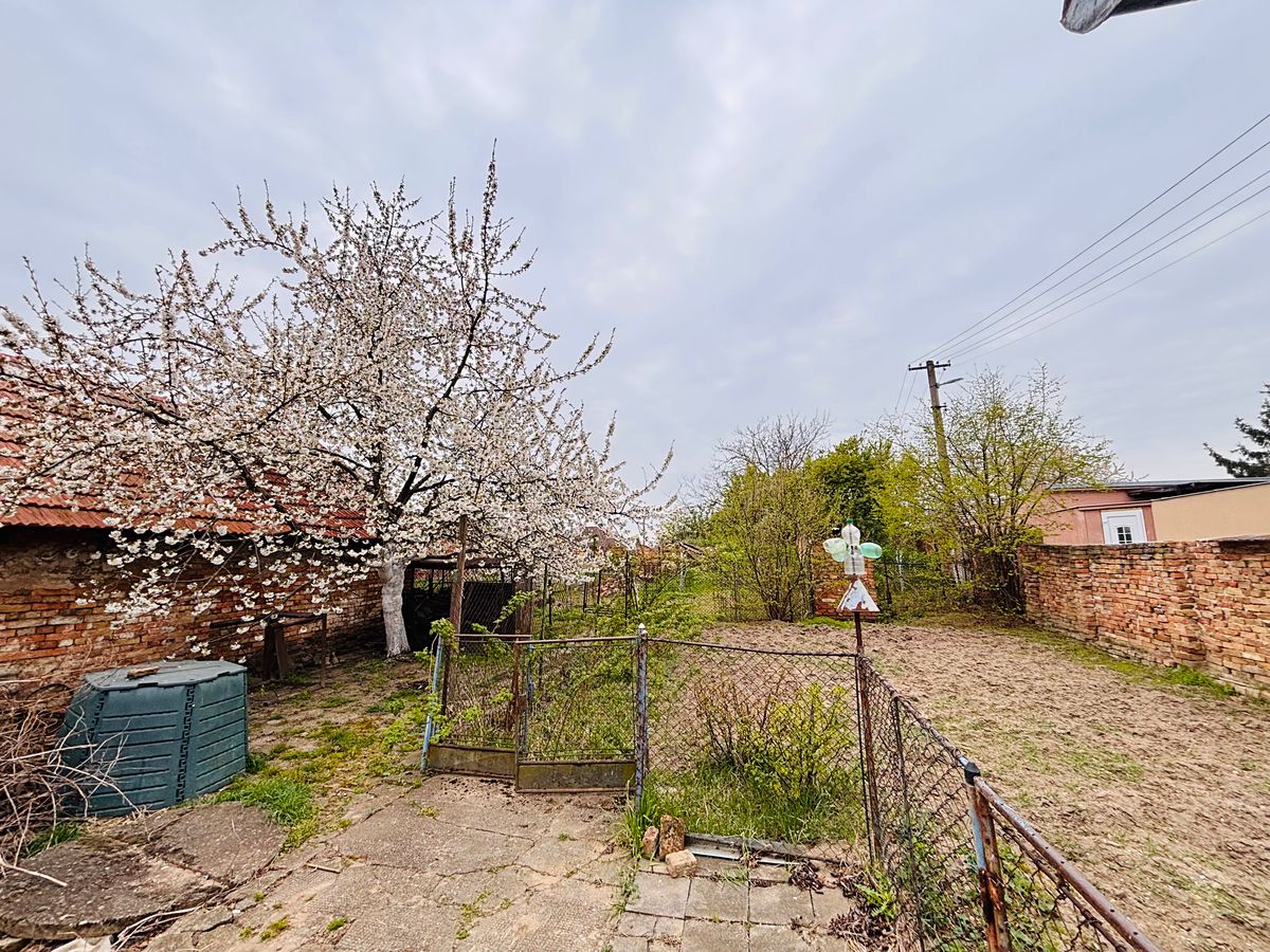 Prodej rodinného domu 160 m², pozemek 445 m² – fotografie 3