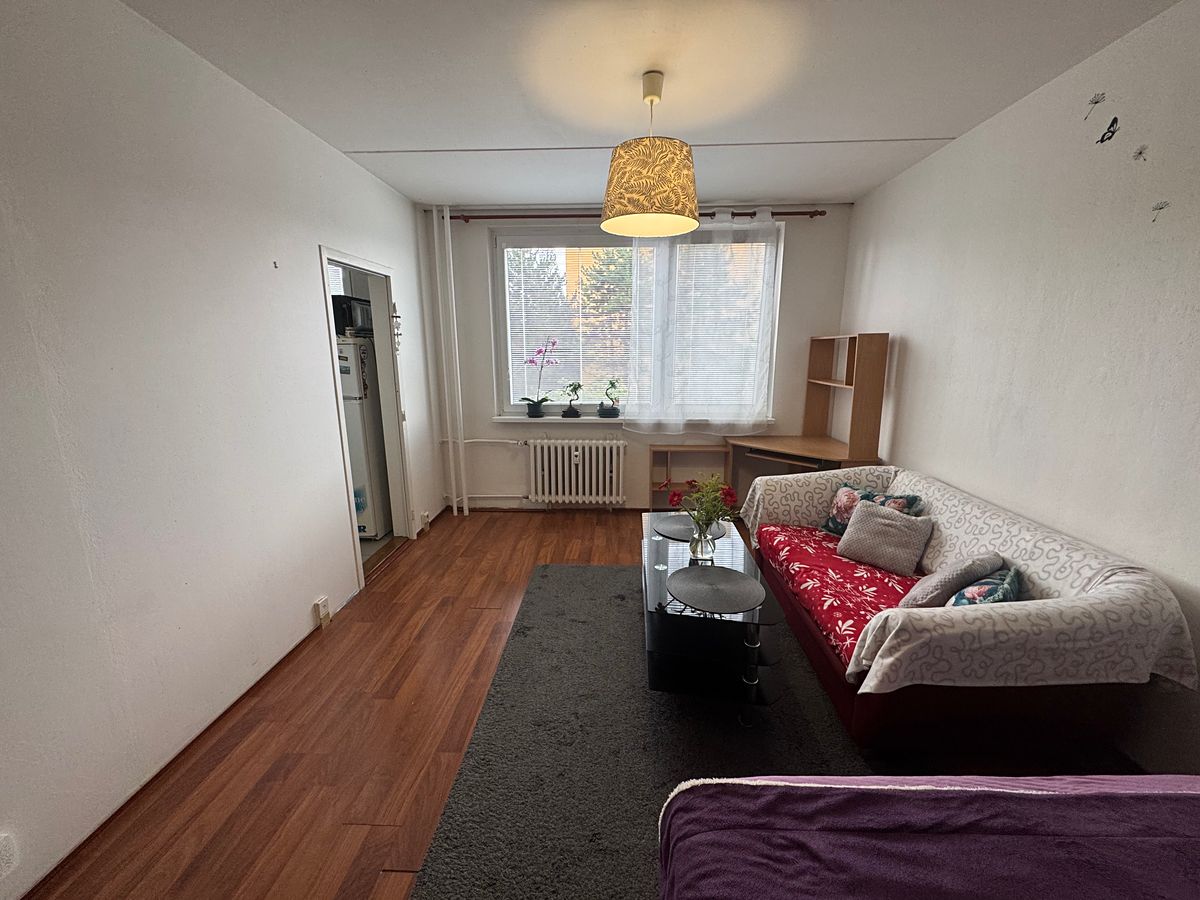 Pronájem bytu 1+1 30 m²