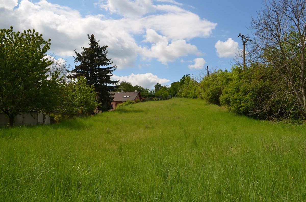 Prodej rodinného domu 143 m², pozemek 1400 m² – fotografie 4