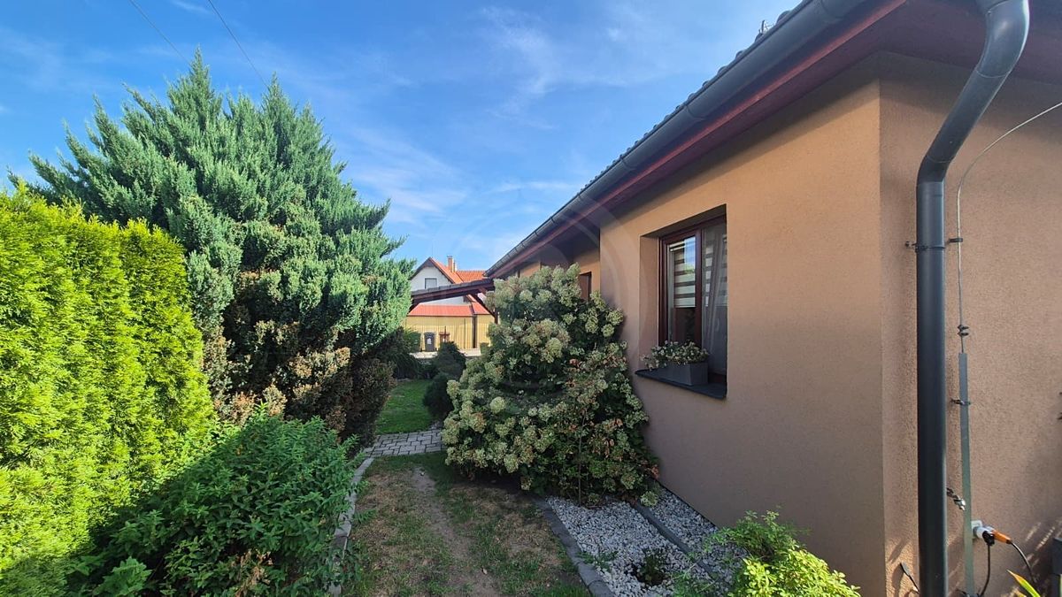 Prodej rodinného domu 120 m², pozemek 455 m² – fotografie 5
