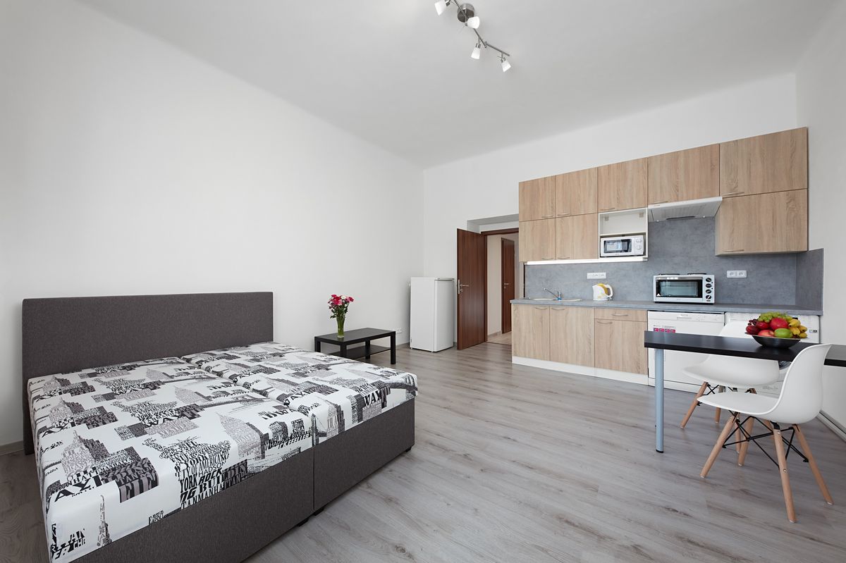 Pronájem bytu 1+kk 30 m²