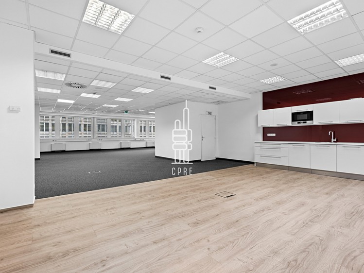 Pronájem komerčního prostoru, 342 m² (6 z 10)