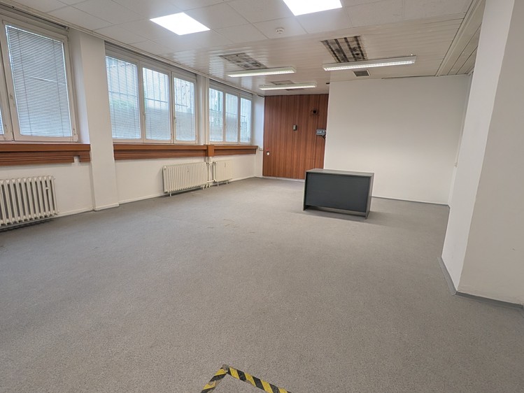 Gewerbefläche zur Miete, 282 m² (4 von 6)