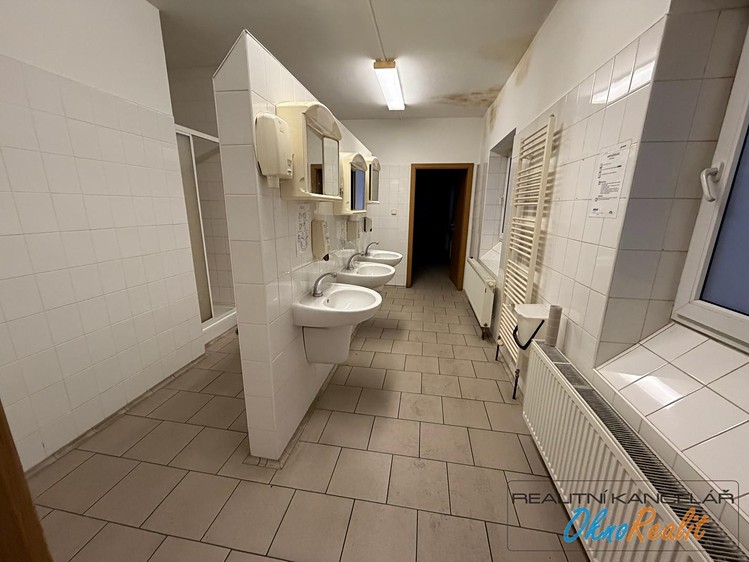 Pronájem komerčního prostoru, 200 m² (32 z 50)