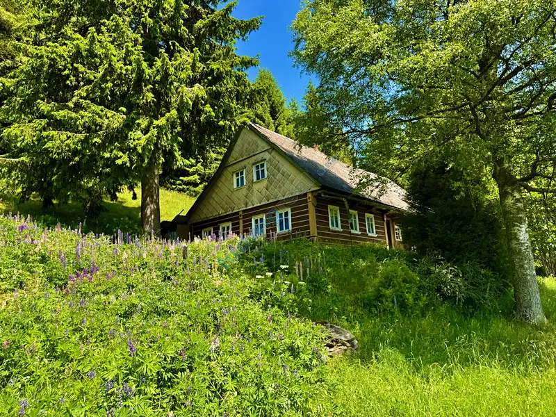 Prodej chalupy 158 m², pozemek 11957 m², Malá Úpa – náhled fotky 2