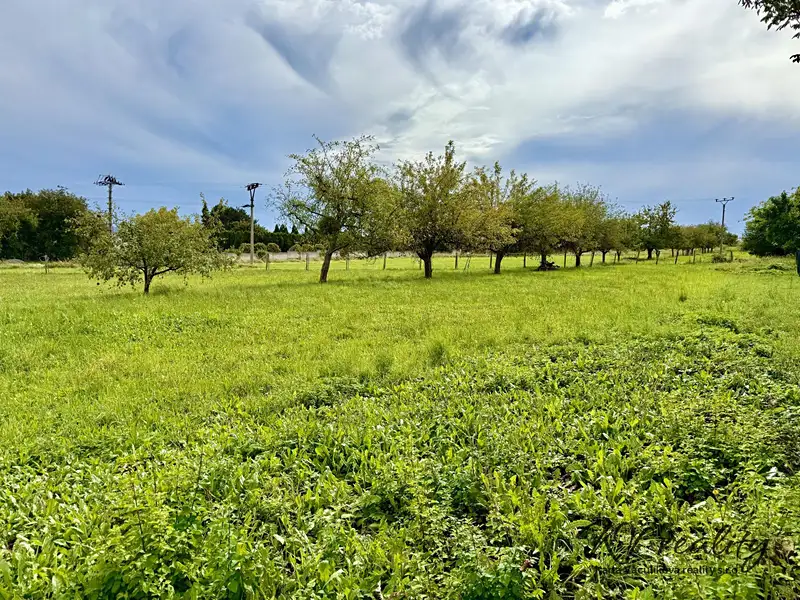 Prodej stavebního pozemku 913 m², Dřevohostice – náhled fotky 3