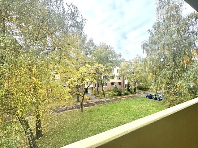Ostatní