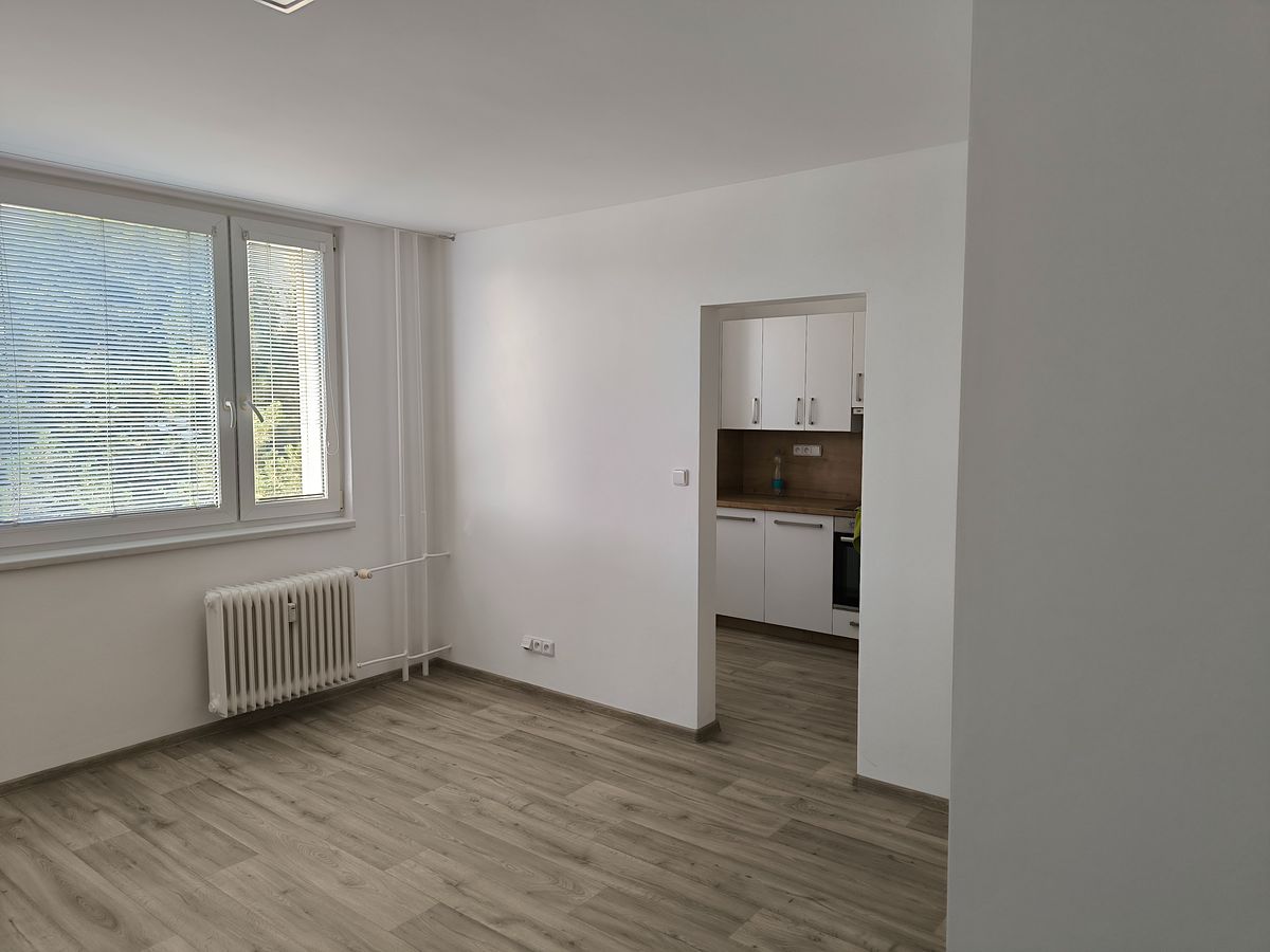 Pronájem bytu 1+1 32 m² – fotografie 3