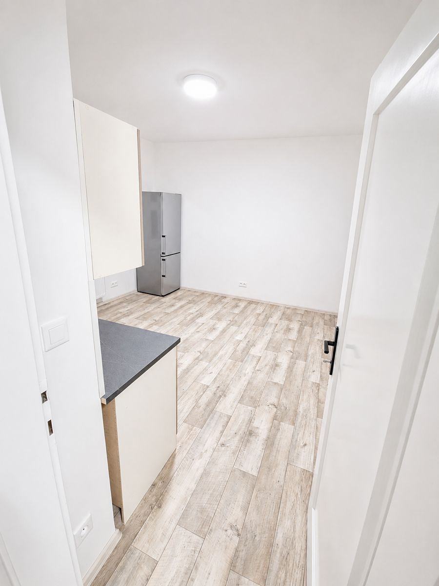 Pronájem bytu 1+1 38 m² – fotografie 4