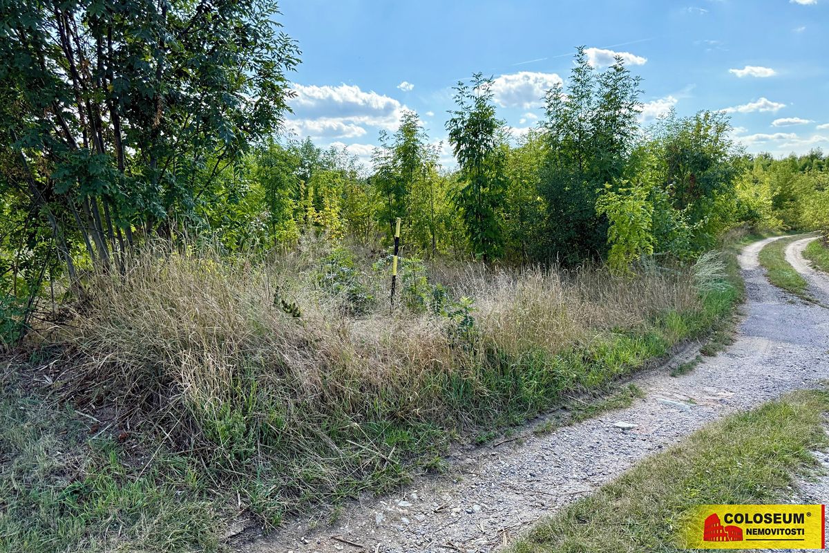 Prodej komerčního pozemku 21190 m² – fotografie 4