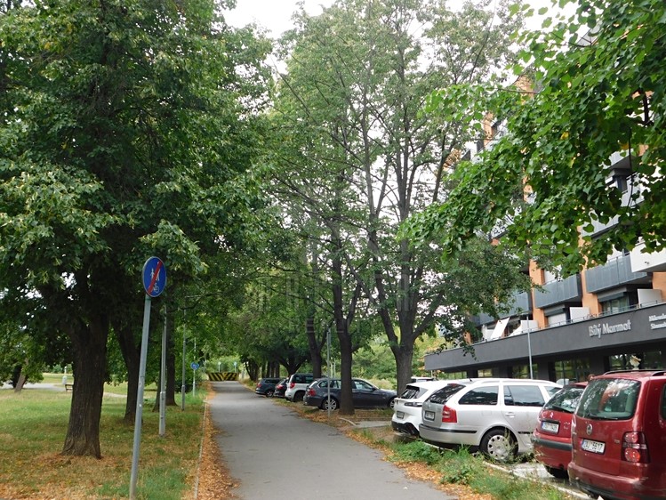 Квартира 1+kk на продаж, 33 м² (10 з 12)