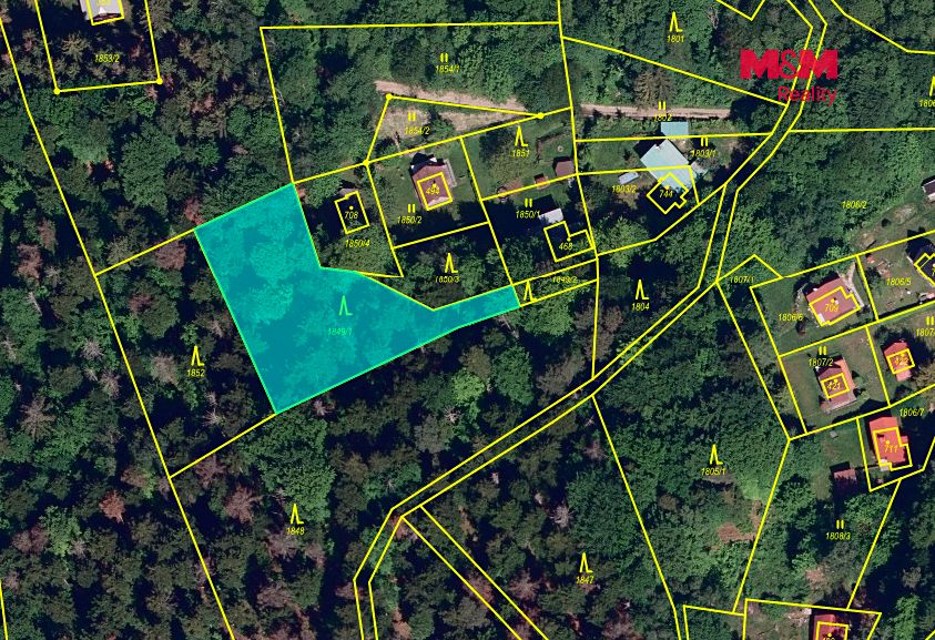 Prodej lesa 26129 m² – fotografie 3