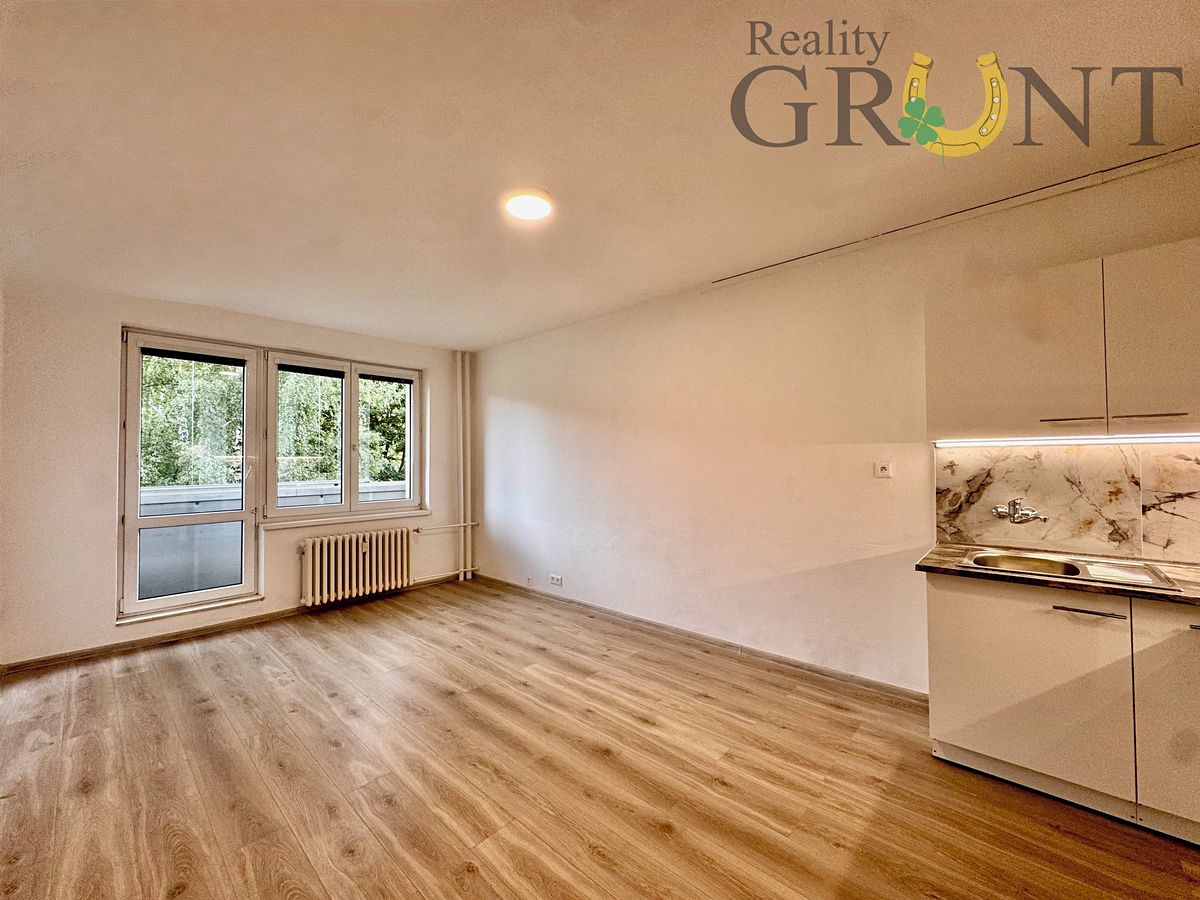 Pronájem bytu 1+kk 32 m²